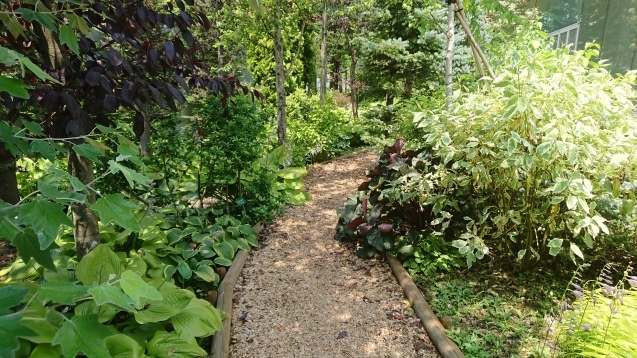 b0035611_20485478.jpg