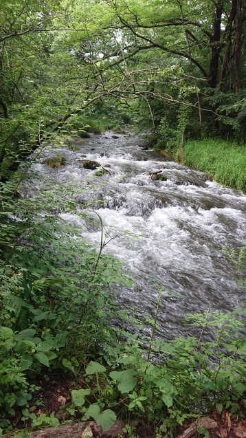 b0035611_20510347.jpg