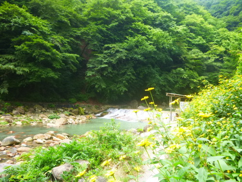 a0236914_10491588.jpg