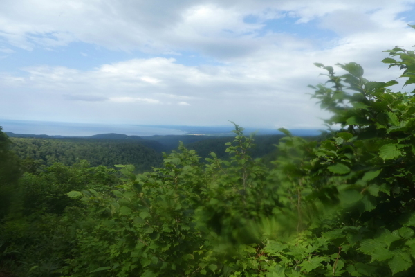 d0170615_17515101.jpg