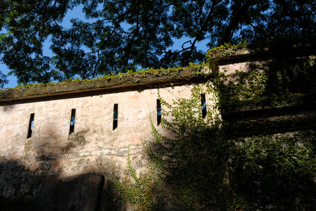 b0061717_19224256.jpg