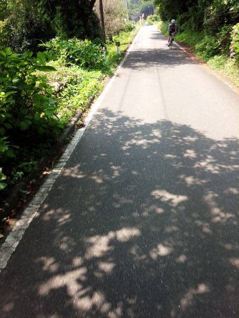 f0232417_23292983.jpg