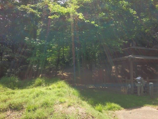 f0232417_23365273.jpg