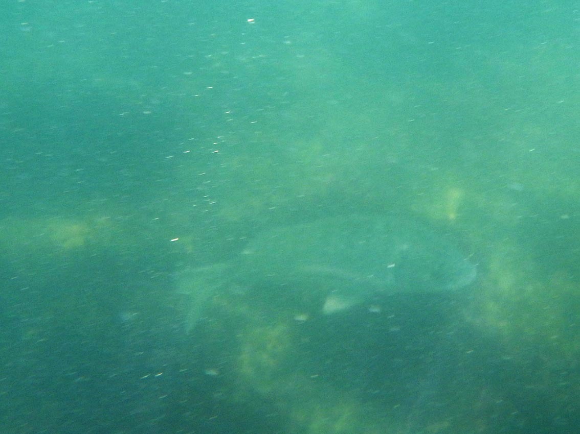 b0117718_18594997.jpg