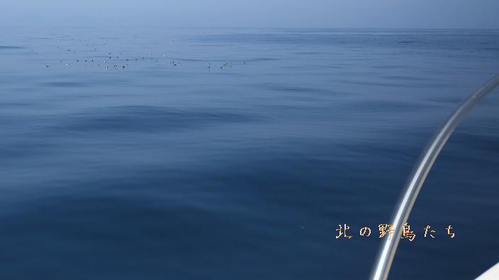 e0266021_19252696.jpg