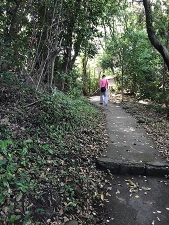 西ノ島観光をもう少し　（隠岐へ.....8）_a0105023_15405431.jpg