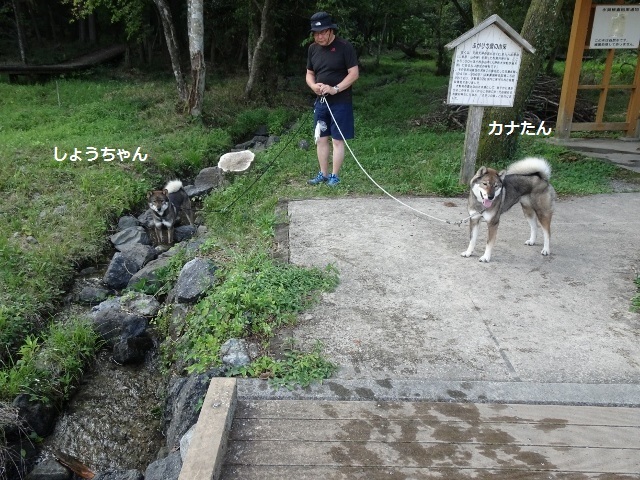 f0143123_11310714.jpg