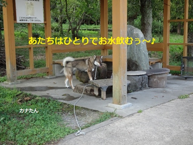 f0143123_11312990.jpg