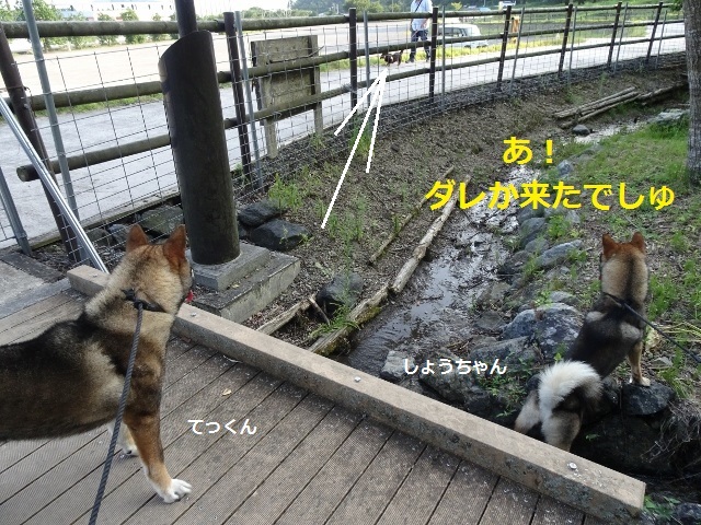 f0143123_11315732.jpg