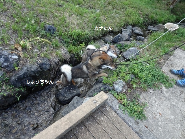 f0143123_11321593.jpg