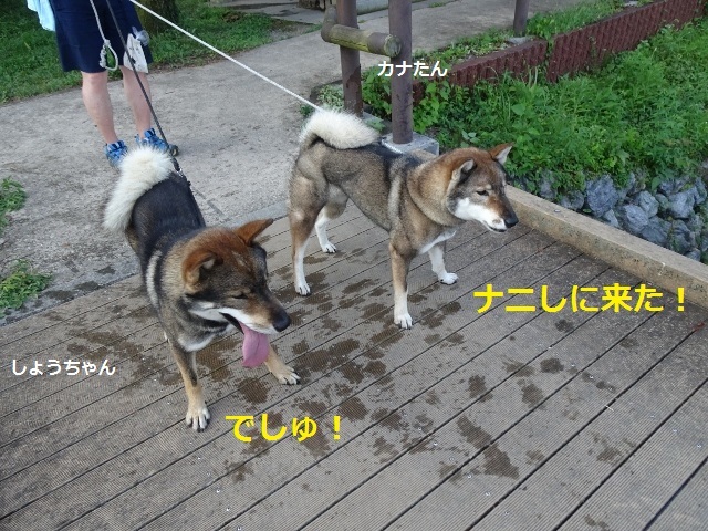 f0143123_11323540.jpg