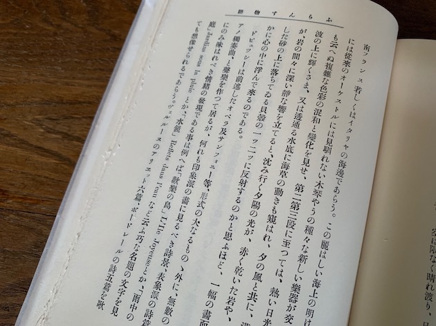 雨の中の庭、雨の中の笑い声（その12）ーー 発売しないとか、展示しないとか_a0285828_15012573.jpeg