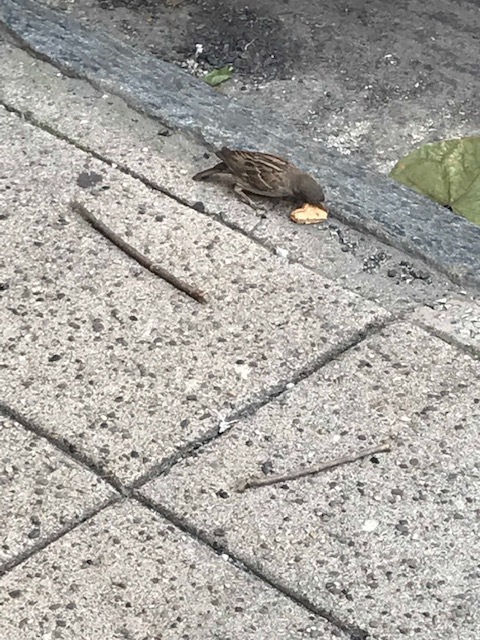 d0269832_20450906.jpeg