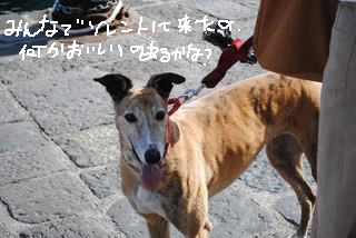 d0269832_20512183.jpeg