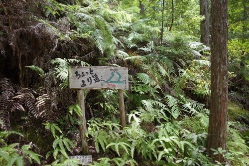 a0345833_19451183.jpg