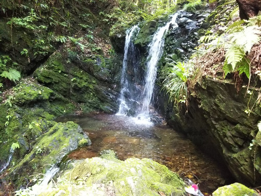 d0378837_05400423.jpg