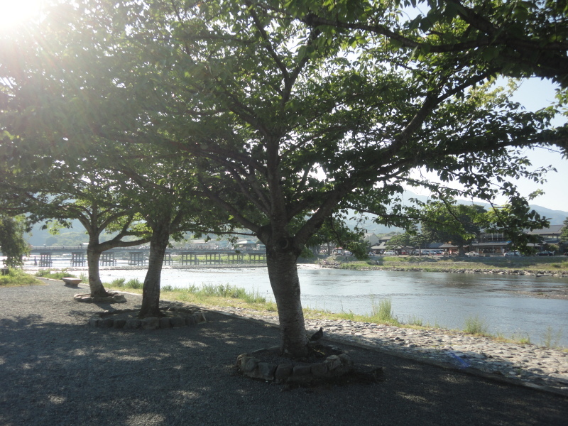 d0359338_08244830.jpg