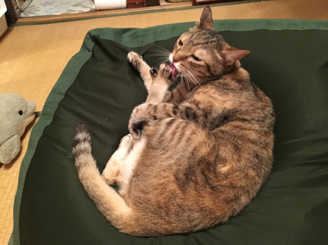 甘〜い桃_c0076939_23565558.jpg
