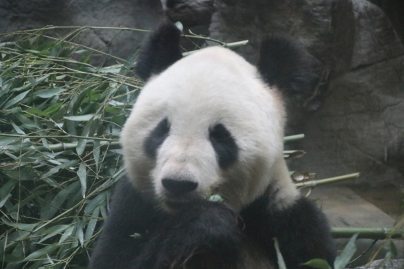 d0335541_11472578.jpg