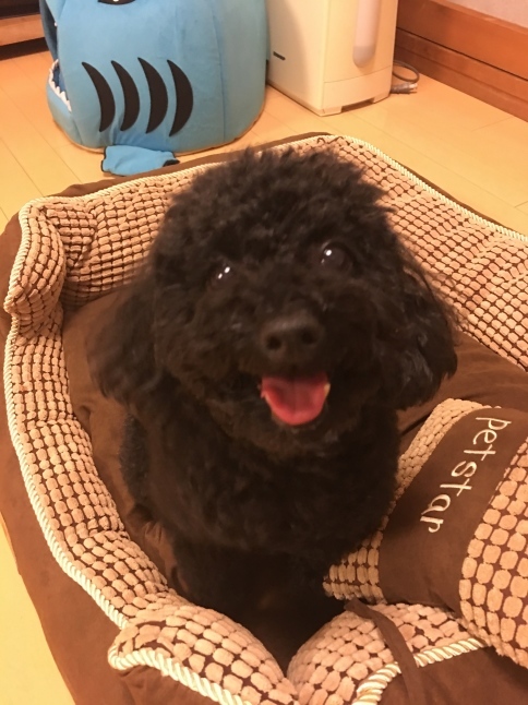 f0191444_12303931.jpeg