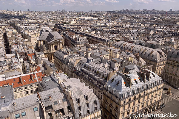 パリの 夏の遊園地 観覧車の上から パリときどきバブー From Paris France