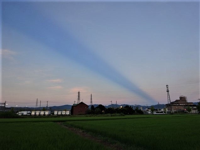 f0089748_15444419.jpg