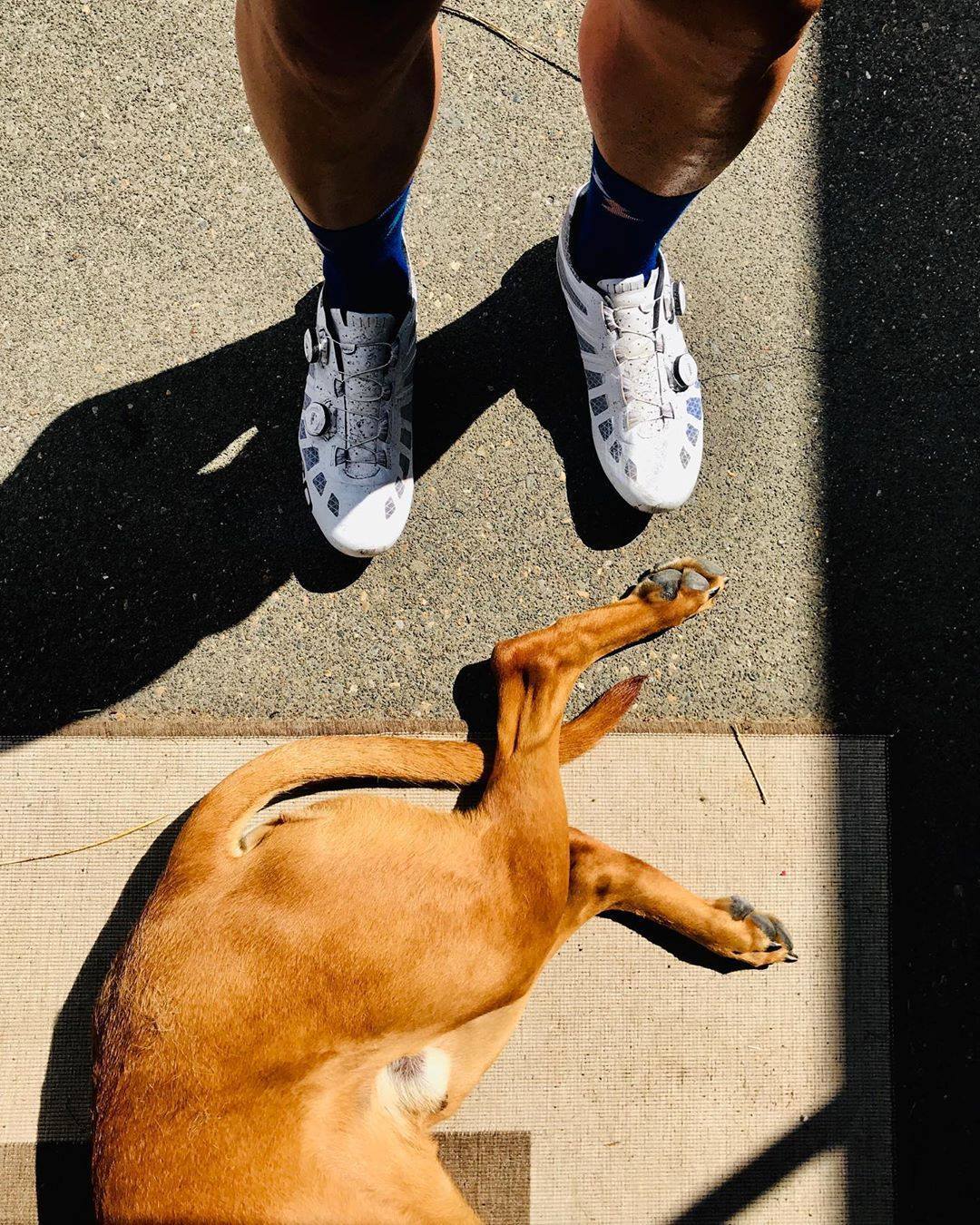逸品御紹介 夏に涼しいシューズ 盆栽自転車店ブログ