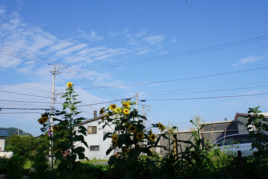 e0011951_23525960.jpg