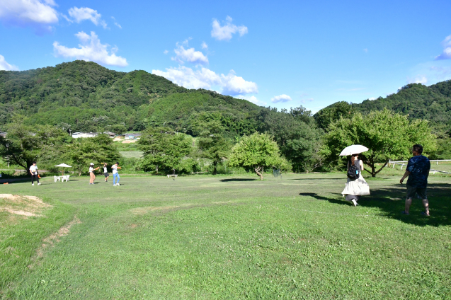 b0214652_19562657.jpg