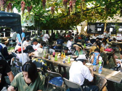 熊本ぶどう　社方園　高級種なしぶどうを大好評販売中！令和元年8月18日(日)は“第12回ぶどう祭り”開催_a0254656_18234836.jpg
