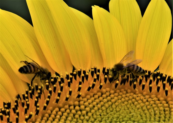 a0284558_9592864.jpg
