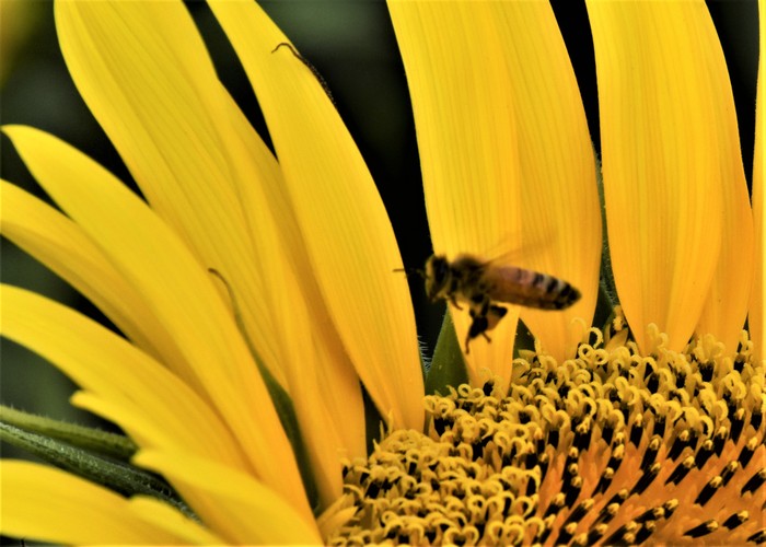 a0284558_9594756.jpg
