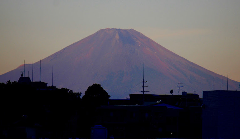a0248459_15460031.jpg