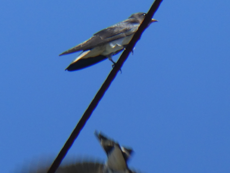 c0108460_12463998.jpg