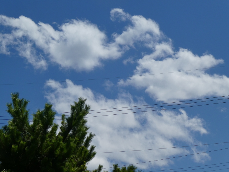 c0108460_12482096.jpg