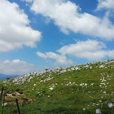 c0172261_06531020.jpg