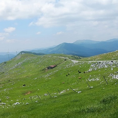 c0172261_06532032.jpg
