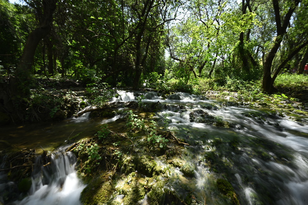 b0092366_23270850.jpg