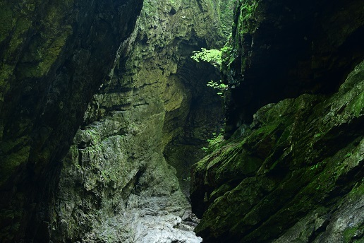 滝見テラスで眺める　　上多古川本谷_c0303868_07511135.jpg