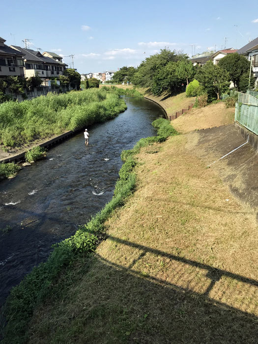 黒目川（旧流路）_f0177368_14400508.jpg