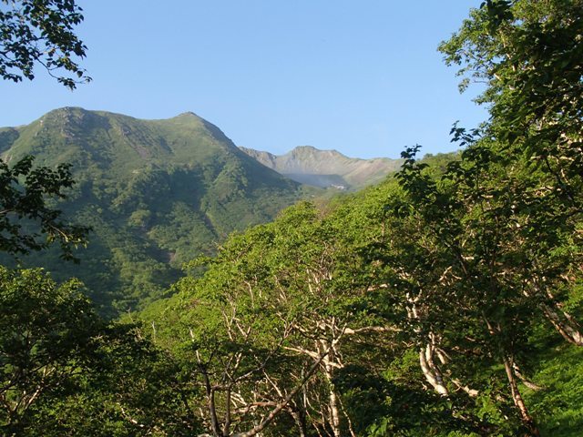 a0344771_15431593.jpg