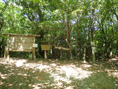 d0182075_01194745.jpg