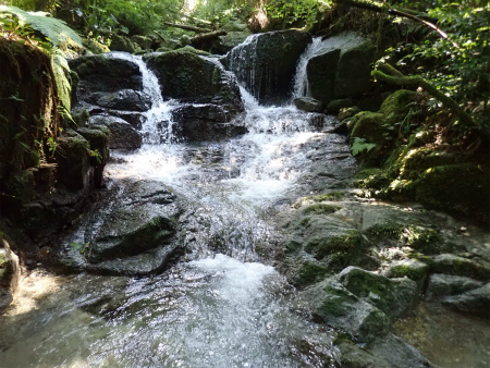 d0182075_01195927.jpg