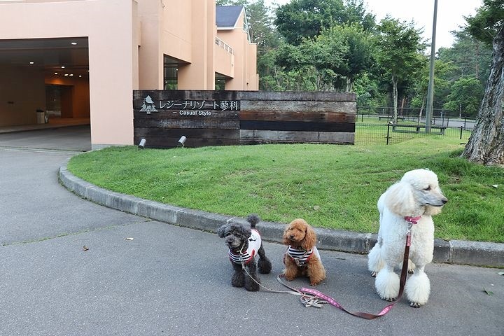 ⑦レジーナリゾート蓼科へ。_b0111376_17293545.jpg