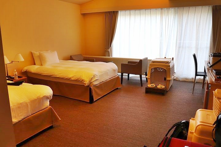 ⑦レジーナリゾート蓼科へ。_b0111376_17582152.jpg