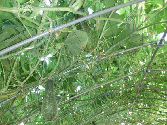 c0145581_03522711.jpg