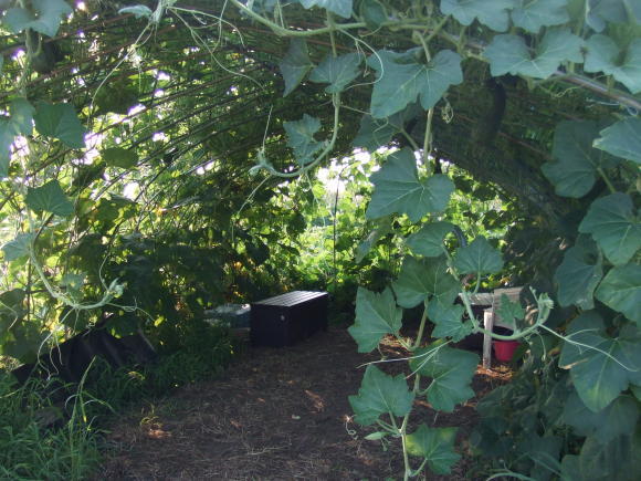 c0145581_03522771.jpg