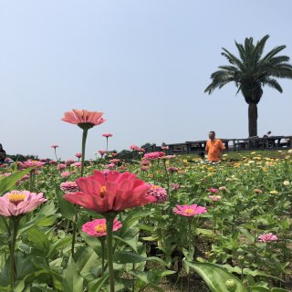 c0229483_2032676.jpg