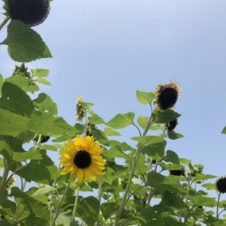 c0229483_203727.jpg