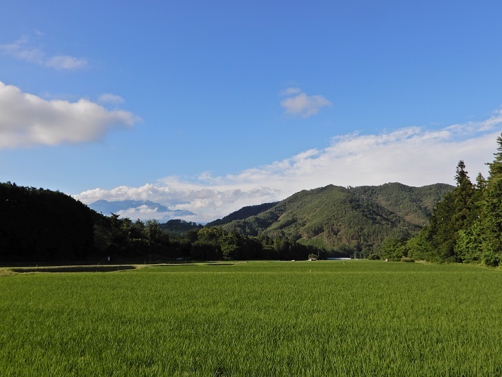 武川町F山さん邸の現場より 15_a0211886_17002172.jpg